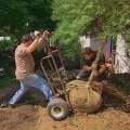 Moving Trees: How to Transplant Mature Trees and Shrubs