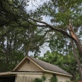 Expert Tree Removal Service And Tree Relocation In Leander, TX: Ensuring Safe And Effective Solutions