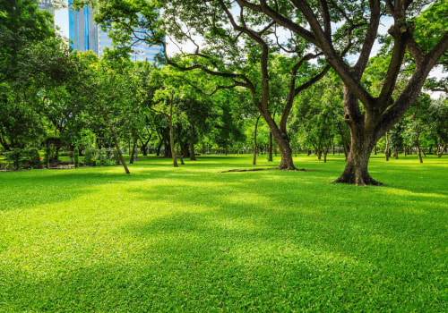 Why Should Tree Relocation Companies Partner With Cutting Grass Service Providers For A Tree Relocation Project In Northern Virginia?