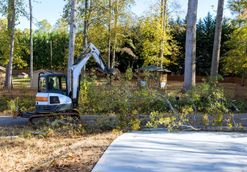 Preserving Bethany's Natural Beauty: The Importance Of Tree Relocation And Removal Services