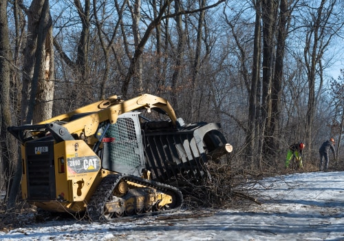 Brush Clearing For Tree Relocation: Why It's Crucial For Ensuring Proper Growth